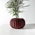 The Sora Planter Pot with Drainage Tray & Stand: Modern and Unique Home Decor image