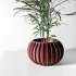 The Sora Planter Pot with Drainage Tray & Stand: Modern and Unique Home Decor image