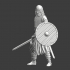 Viking warrior - Erik the Red image
