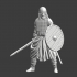 Viking warrior - Erik the Red image