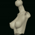 Doll Bjd Bust breasts 90 collection image
