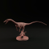 Coelophysis 1-20 scale pre-supported dinosaur image
