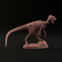 Herrerasaurus 1-35 scale pre-supported dinosaur image