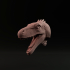 Herrerasaurus head/mount image