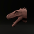 Herrerasaurus head/mount image