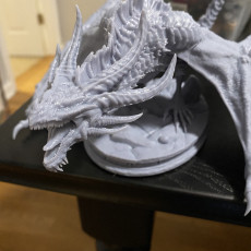 Picture of print of Thornscale Dragon