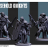Household Knights image