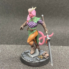 Picture of print of Tiefling Fighter
