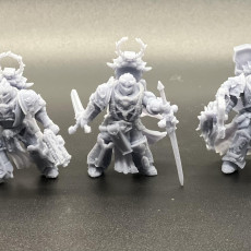 Picture of print of Flame Lizards Blade Masters Squad (BuildKit)