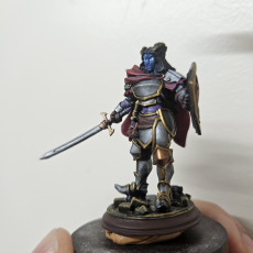 Picture of print of Tiefling Paladin