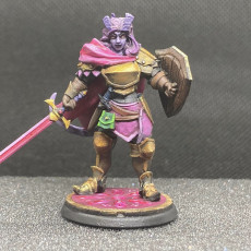 Picture of print of Tiefling Paladin