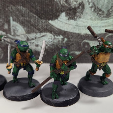 Picture of print of Fighting Turtles Group
