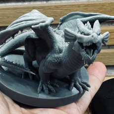 Picture of print of Chonky Red Dragon Wyrmling