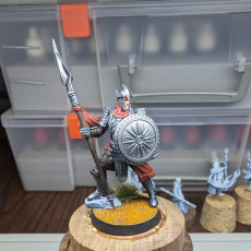 Picture of print of Auxilliar Spearmen Warband