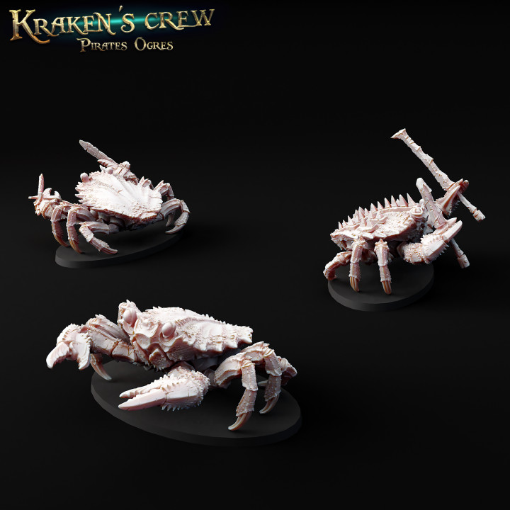Crab Stab - Kraken's Crew's Cover