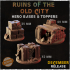 Ruins of the old city - Hero Bases & Toppers image