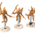 Cinan - Anubis - Akhet - Athyr : Assault, Battle Drone, space robot guardians of the Necropolis, modular posable miniatures image