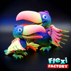 Picture of print of Public Release: Flexi Factory Toucan