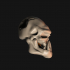 Orc Skulls for Bases image
