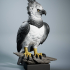 Harpy Eagle image