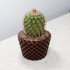 Plant Pot 3D Print File image