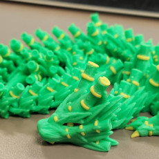 Picture of print of Bamboo Dragon Cinderwing3D X BambuLab