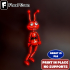 Flexi Print-in-Place the Ant image