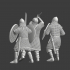 Viking warband - Viking warriors in combat image
