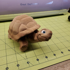 Picture of print of Tortoise, Articulated fidget, Print-In-Place, Cute Turtle Flexi
