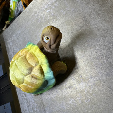 Picture of print of Tortoise, Articulated fidget, Print-In-Place, Cute Turtle Flexi