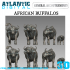 African Buffalos image