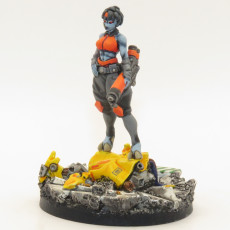 Picture of print of Torchstar anime figurine