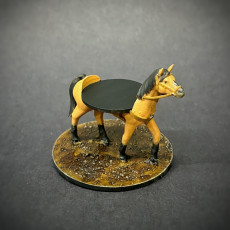 Picture of print of Riding Horse with mini slot