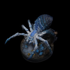 Picture of print of Phase Spider Broodmother - Xylanth