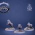 Juno, the compagnion set - Tabletop miniature (Pre-Supported) image