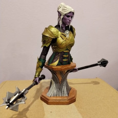 Picture of print of Dark Elf Paladin (240mm) + Bust (158mm)