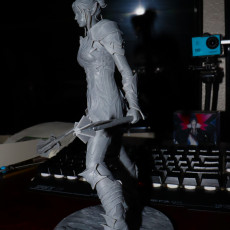 Picture of print of Dark Elf Paladin (240mm) + Bust (158mm)