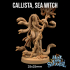 Callista, Sea Witch | PRESUPPORTED | Hunt for The Last Sea Angel image