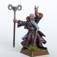 Picture of print of Wizard Champion