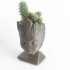 Groot Flower Pot - 3D Model image