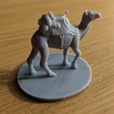 Picture of print of Camel Mount with and without mini slot