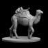 Camel Mount with and without mini slot image