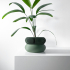 The Elomi Planter Pot with Drainage | Tray & Stand Included | Modern and Unique Home Decor for Plants and Succulents  | STL File image
