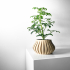 The Toril Planter Pot with Drainage Tray & Stand: Modern and Unique Home Decor for Plants and Succulents  | STL File image