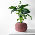 The Surno Planter Pot with Drainage Tray & Stand: Modern and Unique Home Decor for Plants and Succulents  | STL File image