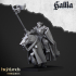 Young Knights of Gallia - Highlands Miniatures image