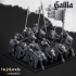 Young Knights of Gallia - Highlands Miniatures image