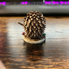 Picture of print of Magical Familiar - Hedgehog