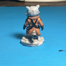 Picture of print of Magical Familiar - Raccoon Rogue