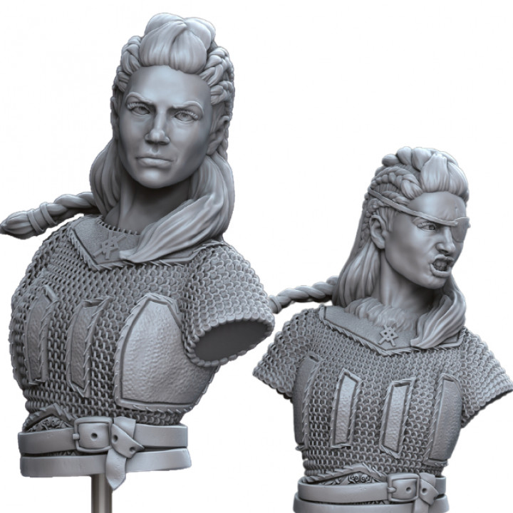 SHIELD MAIDEN: VIKING FEMALE WARRIOR BUSTS's Cover